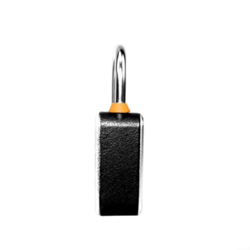 Risveglio Waterproof Fingerprint Padlock, APP Controlled Biometric Security Lock Locker Luggage Dormitory, for Stainless Steel(T32B) — view 4