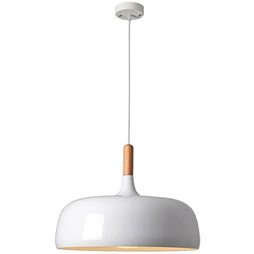 CSSYKV Nordic Style Restaurant Hanging Lamp Modern Minimalist Personality Metal Chandelier Creative Study Bar Coffee Shop Restaurant Led Single Head Lamp Pendant Light E27