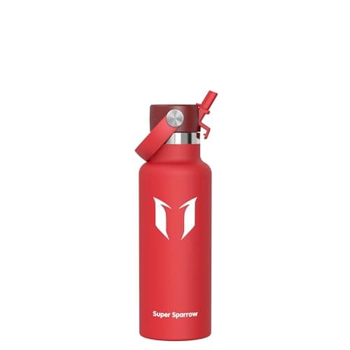 Sparrow Insulated Water Bottle Kids 500ml Metal Drinks Bottle with Straw