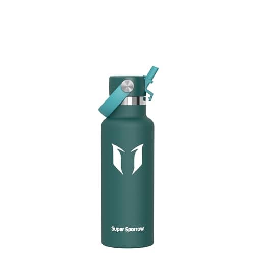 Sparrow Insulated Water Bottle Kids 500ml Metal Drinks Bottle with Straw