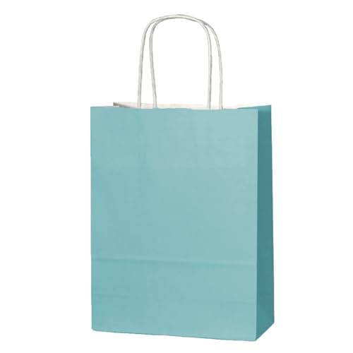 Thepaperbagstore 10 Dusty Teal Paper Bags with Twist Handles, 18x22x8cm