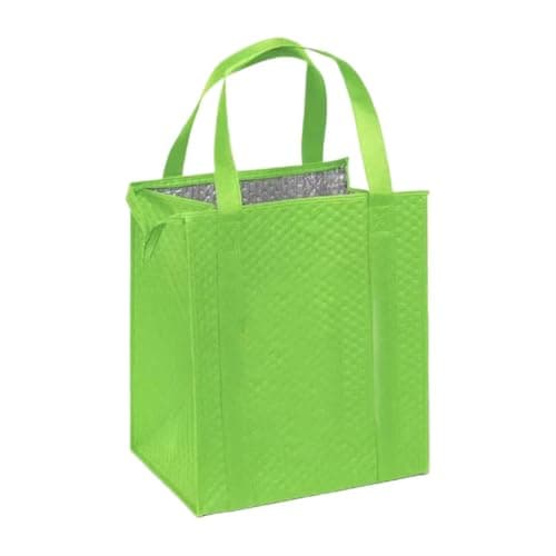 Freezer Bags for Shopping, Reusable Leakproof Picnic Lunch Cooler Tote