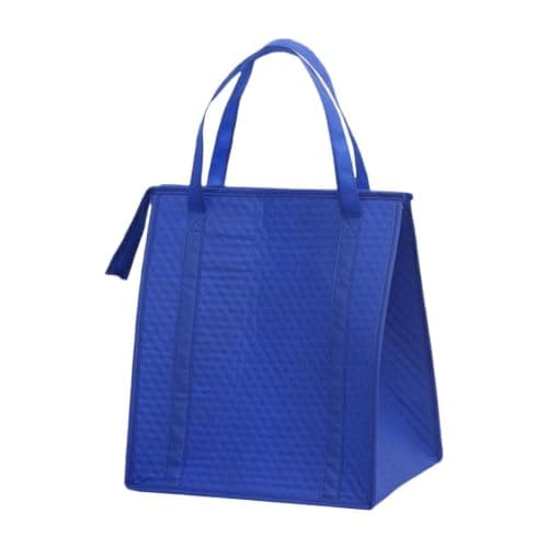 Insulated Cooler Bag Reusable Outdoor Camping Tote with Zipper