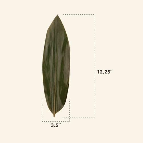 BambooMN Bamboo Leaves for Cooking Zongzi, Banana Leaf Alternative, Grilling/Barbeque, Natural Boiling Bags - 12.25 x 3.5 Inches - 100 pack — view 2