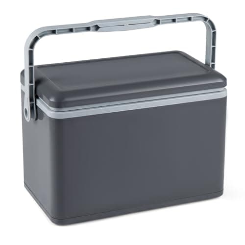 COSTWAY 12L/16L/21L/41L Insulated Cool Box (Dark Gray, 48 x 29 x 31 cm)