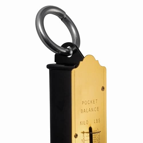 Jazooli Hanging Weight Scale - Commercial, Luggage Scale, Suitcase Weighing Scales with Metric and Imperial Measurements -Heavy Duty Design Camping & Travel Essentials 150 KG — view 6