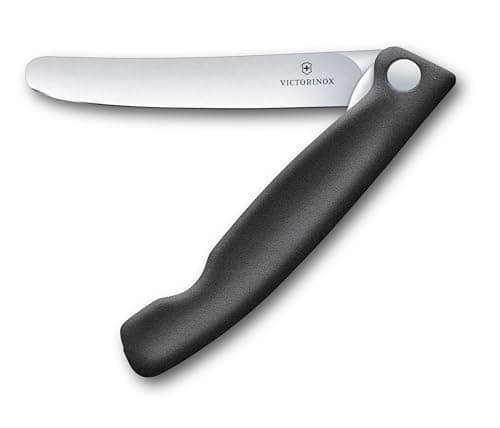 Victorinox Swiss Classic Foldable picnic knife for hiking, fruit, vegetables, bread rolls, sausage, with straight blade, extra sharp, Black