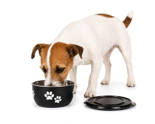 dog bowls - Kena black & silver with lid - size S - stainless steel - dog food bowl - 600 ml