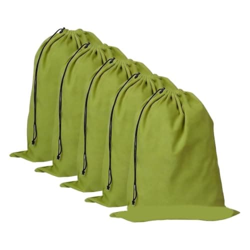 Closet Shoe Storage Bag, Mint Green