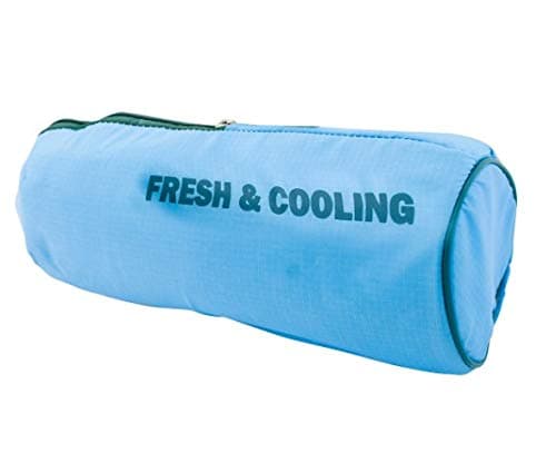 New 2L Waterproof Insulated Cooler Cool Carry Bag Picnic Drinks Travel Lunch