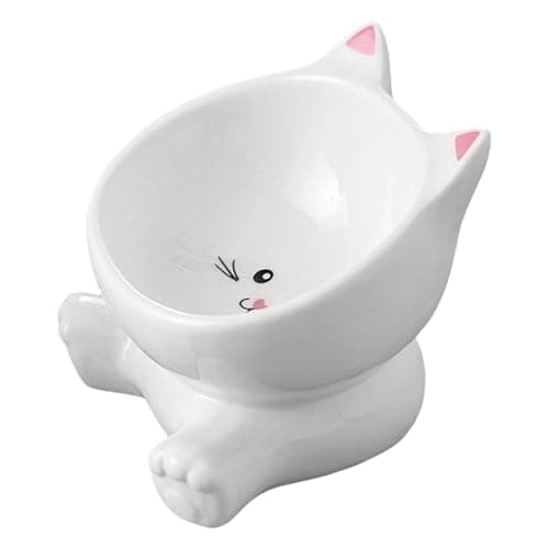 Quorvex Elevated Cat Bowl | Raised Cat Bowls,Tall Ceramic Tilted Dish, Spill Proof For Pet Kitten Puppy Drinking Feeding Apartment City Living Travel — view 6
