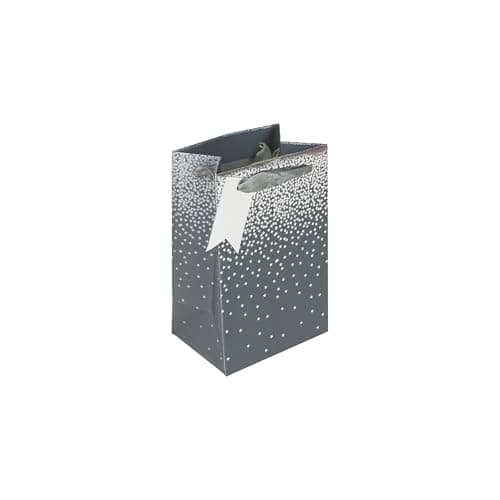 Eurowrap Grey Stars Ombre Gift Bag With Gift Tag - Gift Bag for Him, Her, Christmas, Weddings, Birthdays, Father's Day - Birthday Gift Wrap Occasion Present - Small Size