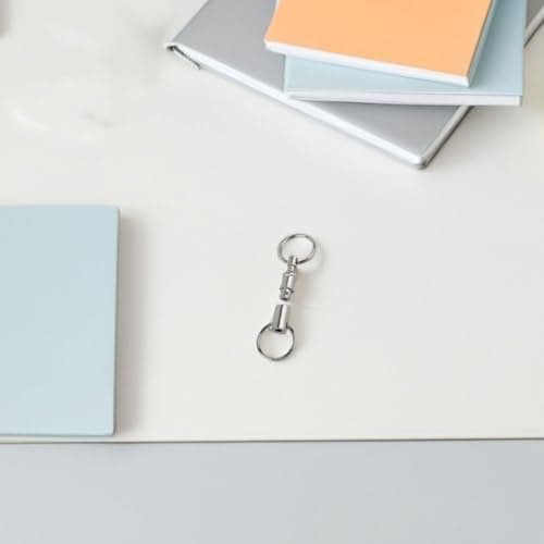 Detachable Quick Release Keyring with Double Spring, Iron Alloy Silver — view 6