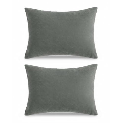 Merzio 2 PCS Small Pillow, Memory Foam Mini Pillow for Travel Nap