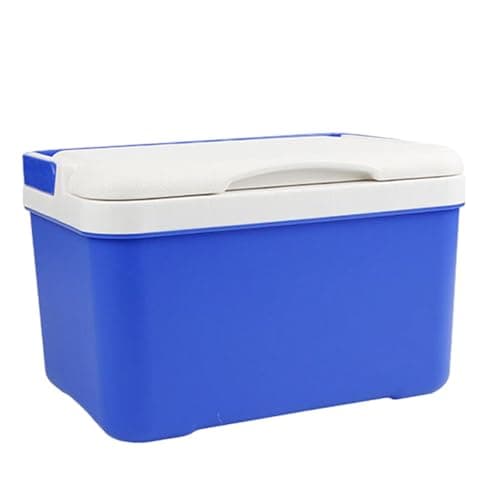 Cooler Box - Electric Car Fridge, 6 L Portable Insulated Cooler with Handle, Compact Travel Fridge, Chiller Box for Camping, Road Trips, Vehicle, , Dorm, Outdoor, Food Centre
