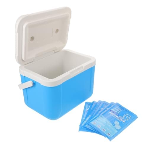 Portable Outdoor Cooler Box 5.5l PU with Ice Pack for Road Trips