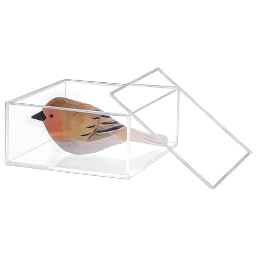 PH PandaHall Cube Display Case Square Acrylic Jewellery Packing Box with Lid Multi-Purpose Square Container Stackable Organizer for Office, Desk, Crafts, Small Items Storage 10.5x10.5x5.1cm