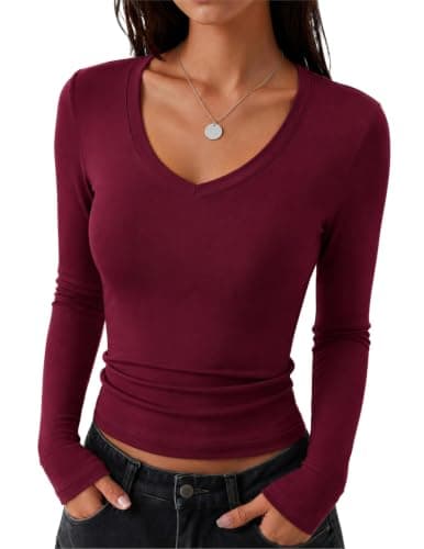 Zeagoo Ladies Long Sleeve Tops V Neck Causal T Shirts Basic Stretch Tee