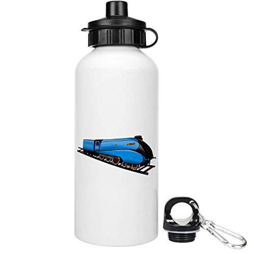 Azeeda 'Mallard Steam Train' Water Bottle - 600ml (WT00031763)
