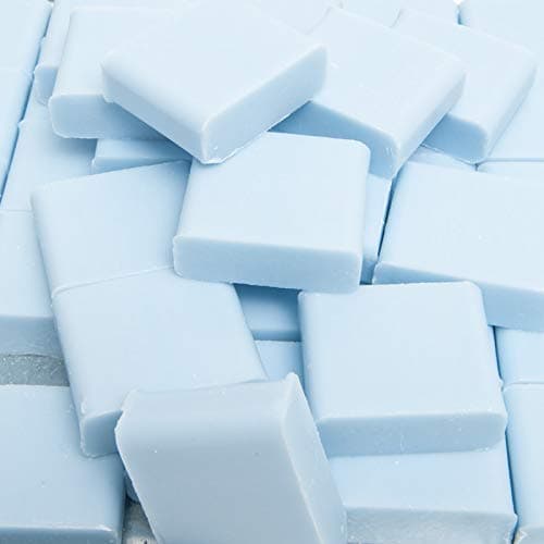 Savon de Marseille Soap - Mini Hotel and Travel Soap Bars with Organic Shea Butter - Travel Essentials - Scent of the Sea Hand Wash - 30 Gram Bars - Set of 10
