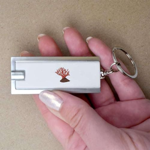 Azeeda 'Red Coral' LED Keyring Torch (KT00047816) — view 3
