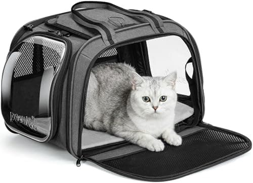 pecute Cat Carrier Stable, Large Space, Pet Carrier Bubble Window,Grey