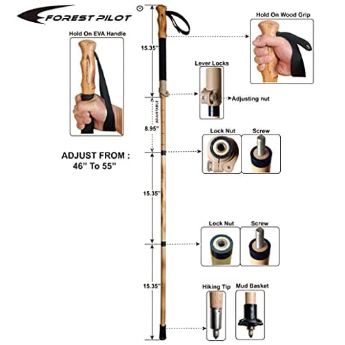 FOREST PILOT Trekking Poles- 1-pc Pack - Adjustable Hiking or Walking Stick –Strong, Natural Beech wood - Quick Adjust Flip-Lock - Beech wood Grip, Leather Strap (Black) — view 4