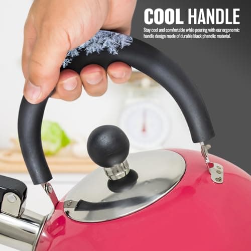 2.5L Stainless Steel Whistling Kettle - Suitable for Fishing, Camping, Hiking, Indoor & Outdoor | Camping Kettle for Gas Stove, Electric Stove, Camp Fire | Lightweight, Fast Boil, Phenolic Handle — view 4