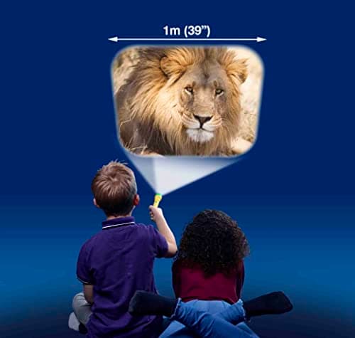 Brainstorm TOYS Animal Torch and Projector – 24 Wildlife Images, Projects Clear Pictures Up to 1 Metre Wide, Interactive Educational Kids Flashlight Toy — view 3