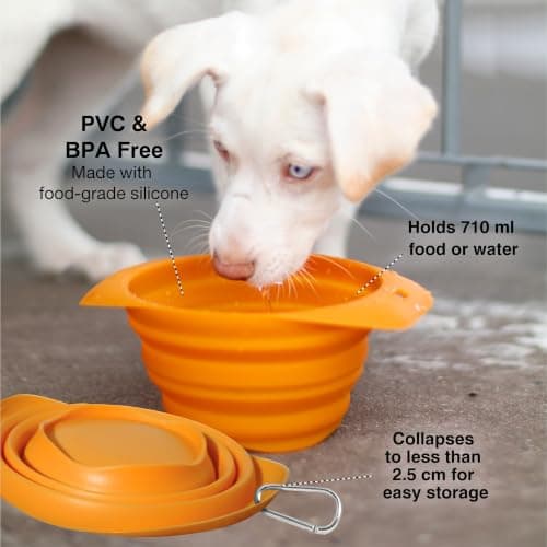 Kurgo Collaps-A-Bowl, 24oz, Red — view 2
