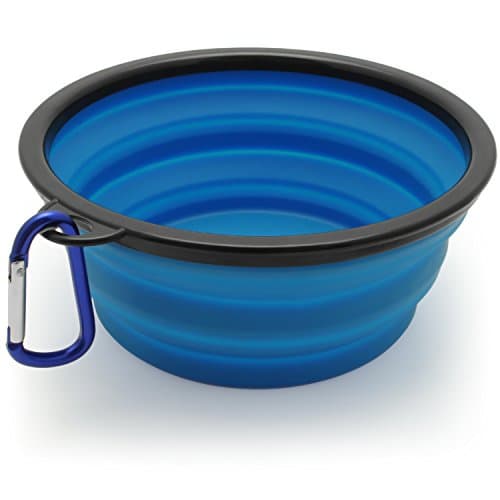 iGadgitz Home Large Foldable Travel Silicone Dog Bowl Food Water Feeding Portable Dish for Pet (Blue)