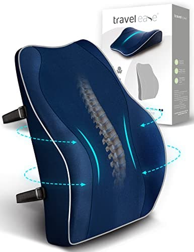 Travel Ease Ergonomic Lumbar Support Cushion, Memory Foam Back Support Cushion for Office Chairs with Skin-friendly Cover for Comfort (DarkBlue)