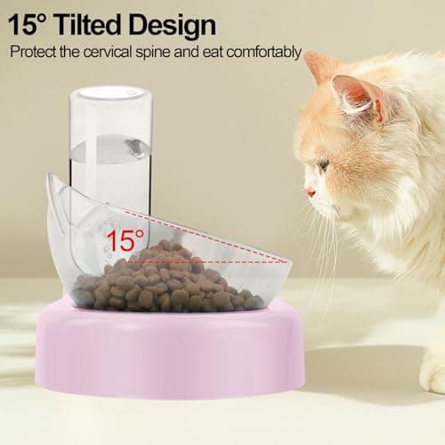 Itingy 15° Tilted 3-In-1 Cat Food Bowl Set with Removable Water Bottle — view 3