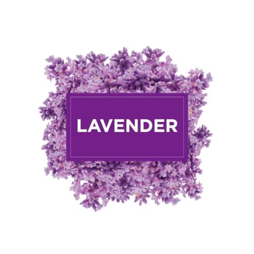 Glade Solid Gel Air Freshener, Odour Eliminator for Home & Bathroom, Lavender, Pack of 8 (8 x 150g) — view 5