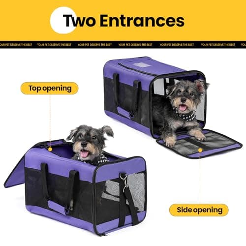Conlun Dog Carrier Soft Sided, Large Cat Carrier with Inner Safety Leash, Pet Transport Carrier for Large Cats and Medium Dogs up to 10 KG, Collapsible Travel Puppy Carrier Bag -Purple, L — view 4