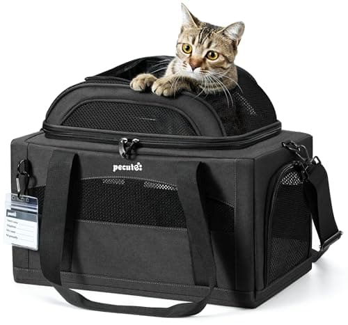 pecute Cat Carrier Top Expandable, Airline Approved Cat Carrier, Dark Grey