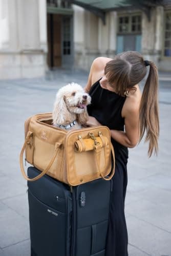 Noah & Paw Cat Carrier Soft Dog Carrier for Small Dogs, TSA Airline Approved 18x11x11in Cat Crate, Pet Travel Crate, Small Pet Kennel, Mattress Included, Camel Faux Leather — view 2
