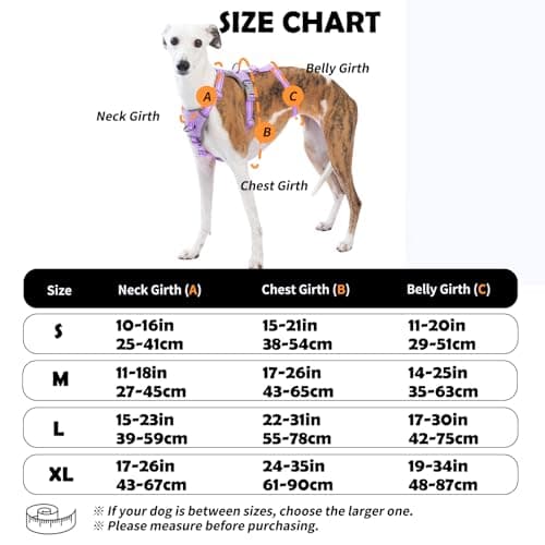 Huntboo Escape Proof Dog Harness Medium, No Pull dog harness — view 2