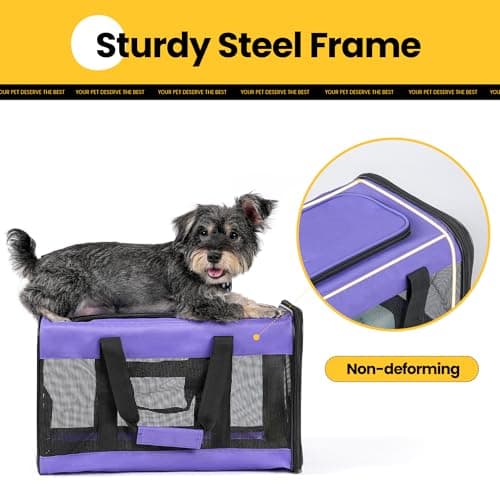 Conlun Cat Carrier Airline Approved, Soft-Sided Dog Carrier with Inner Safety Leash, Pet Transport Carrier for Small-Medium Cats Puppies up to 7KG, Collapsible Travel Kitten Carrier Bag,Purple(M) — view 6