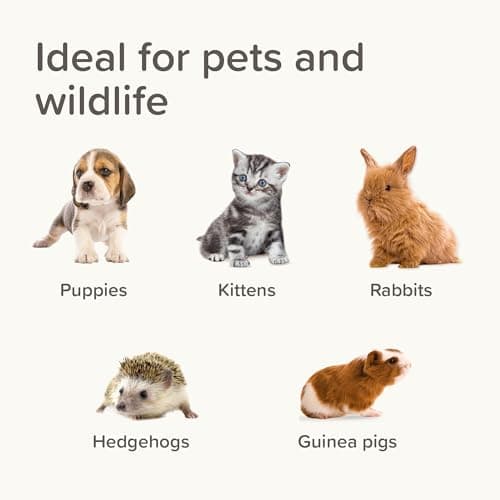 Beaphar - Lactol Feeding Set - Use with Animal Milk Replacer – Ideal To Feed & Hand-Rear Newborn, Orphaned & Weaning Kittens, Puppies & Small Animals - Contains 1 Bottle, 6 Teats & 1 Cleaning Brush — view 6