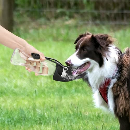 TIOVERY Portable Pet Water Dispenser, 20oz Leak Proof Dog & Cat Water Bottle with Bowl, Black — view 6