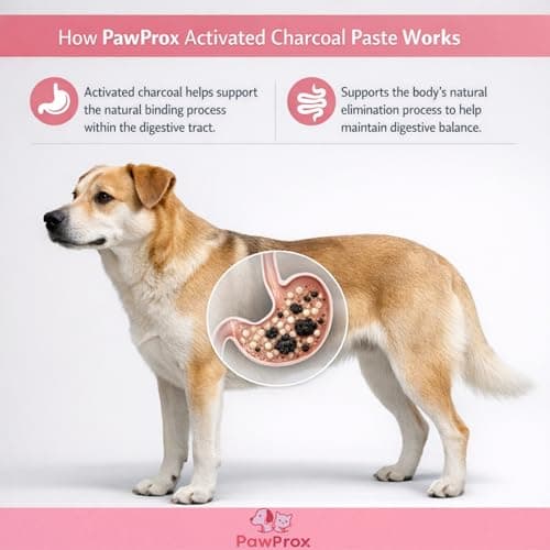 PawProx Activated Charcoal Gel for Dogs for Poisoning, 30 cc Dog First Aid Activated Charcoal, Animal Use Only Dogs and Cats Poisoning First Aid — view 4