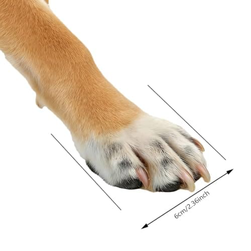 Dog Shoes 4 Pack with Reflective Straps, Rubber Sole, Waterproof Toe — view 6