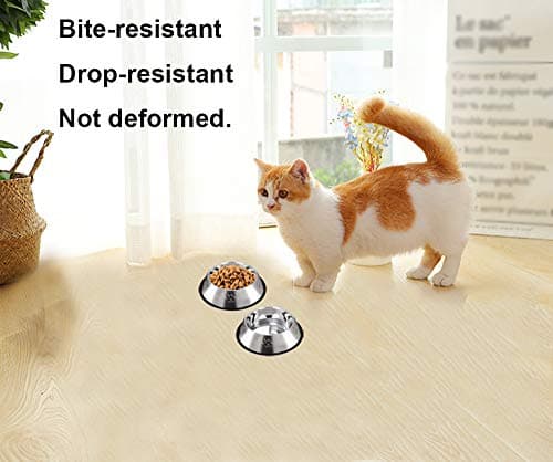 Cat Feeding Bowls, Non-Slip Stainless Steel Pet Set of 2, Metal Kitten Water & Food Dishes - Drop-Proof and Easy to Clean — view 6