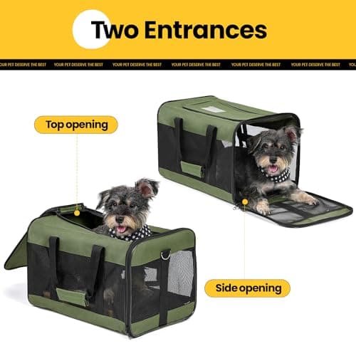 Conlun Dog Carrier Soft Sided, Large Cat Carrier with Inner Safety Leash, Pet Transport Carrier for Large Cats and Medium Dogs up to 10 KG, Collapsible Travel Puppy Carrier Bag -Green, L — view 4