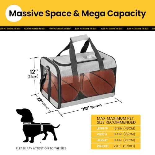 Conlun Dog Carrier Soft Sided, Large Cat Carrier with Inner Safety Leash, Pet Transport Carrier for Large Cats and Medium Dogs up to 10 KG, Collapsible Travel Puppy Carrier Bag -Grey, L — view 2
