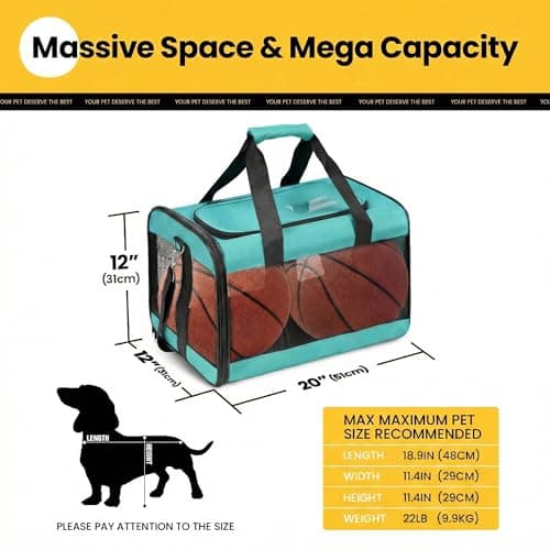 Conlun Dog Carrier Soft Sided, Large Cat Carrier with Inner Safety Leash, Pet Transport Carrier for Large Cats and Medium Dogs up to 10 KG, Collapsible Travel Puppy Carrier Bag -Turquoise, L — view 2