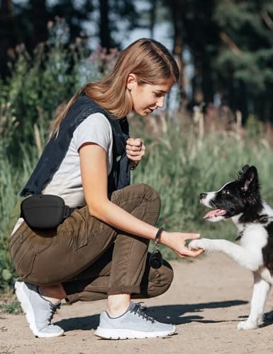 heouvo Dog Treat Pouch with Training Clicker, Upgrade Stronger Magnetic Closure to Avoid Spilling, 1.67 Cup Silicone Treat Bag Fanny Pack with Waist Belt for Pet Training Walking (Black) — view 3