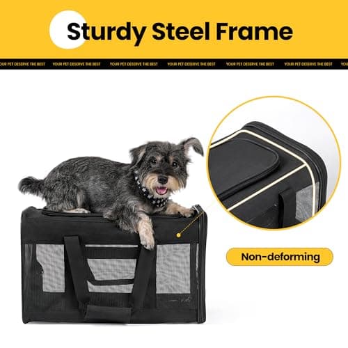 Conlun Black Soft-Sided Dog Carrier, Large Cat Carrier with Inner Safety Leash, Pet Transport Carrier for Large Cats and Medium Dogs up to 10 KG, Collapsible Travel Puppy Carrier Bag - Black, L — view 6