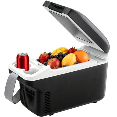 Iceblue Small Electric Cooler, 8 Liter /11 Cans Car Refrigerator (Black)